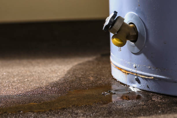 Best Flood restoration services  in Benson, UT