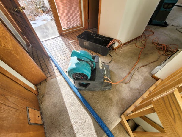 Best Residential water damage restoration  in Benson, UT