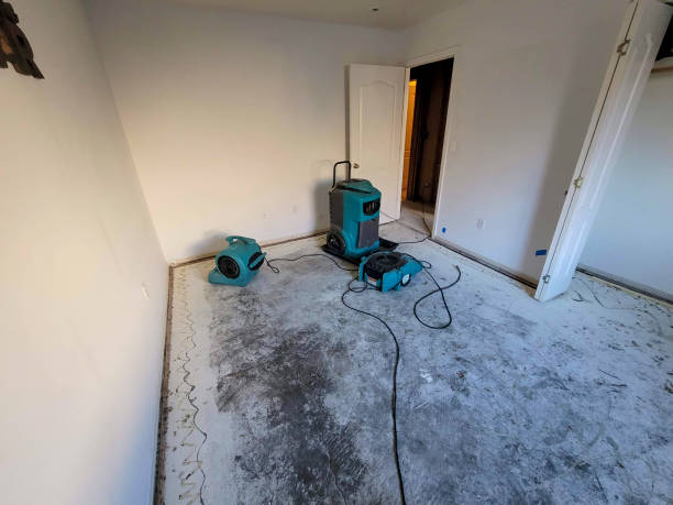 Best 24/7 water damage repair  in Benson, UT