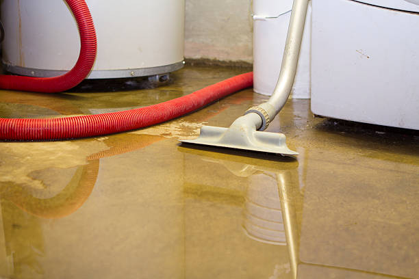 Best Flooded house restoration  in Benson, UT