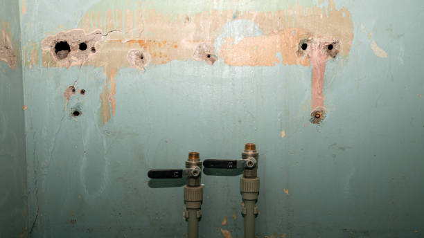Best Ceiling water damage repair  in Benson, UT