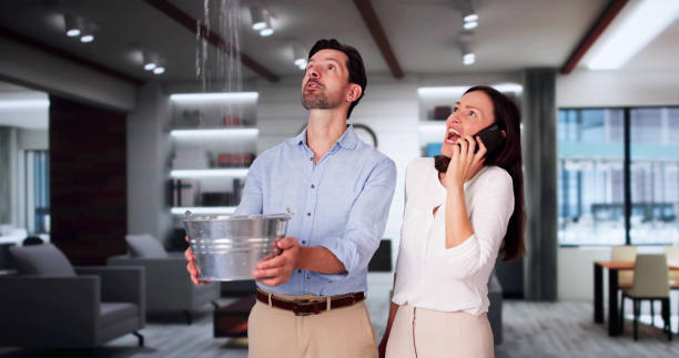 Best Basement water damage restoration  in Benson, UT