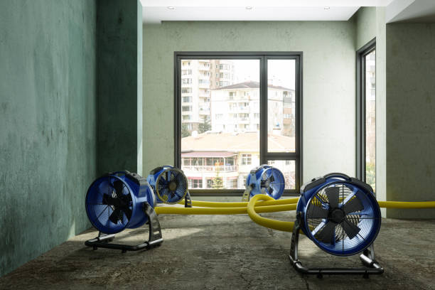 Water damage restoration insurance claims in UT